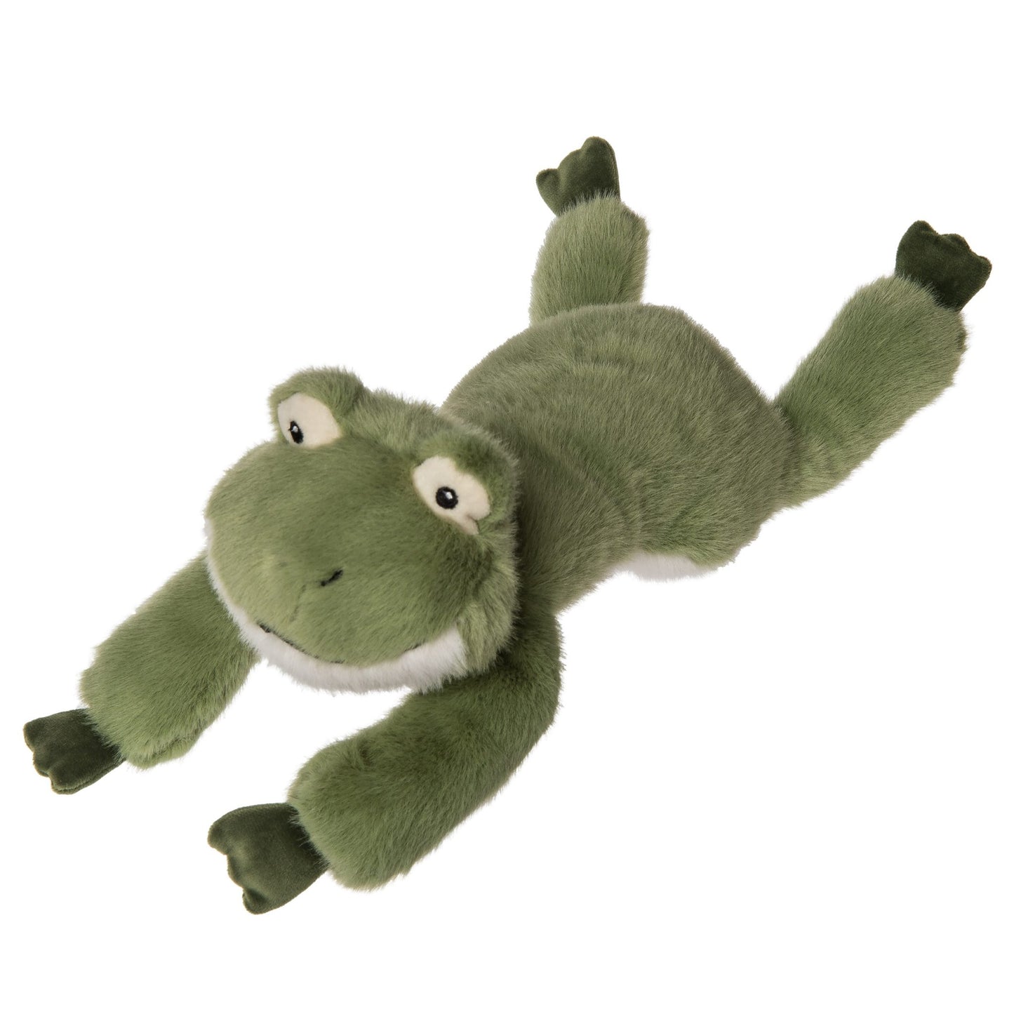 Little Froggy Animal