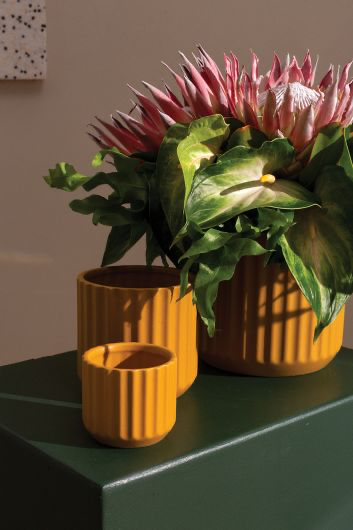 Beam Pot