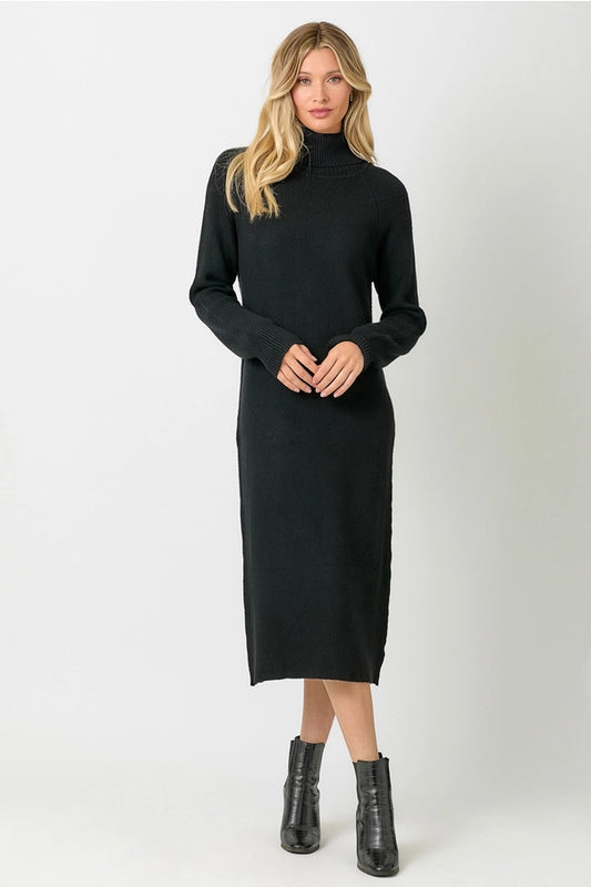 Turtleneck Sweater Dress