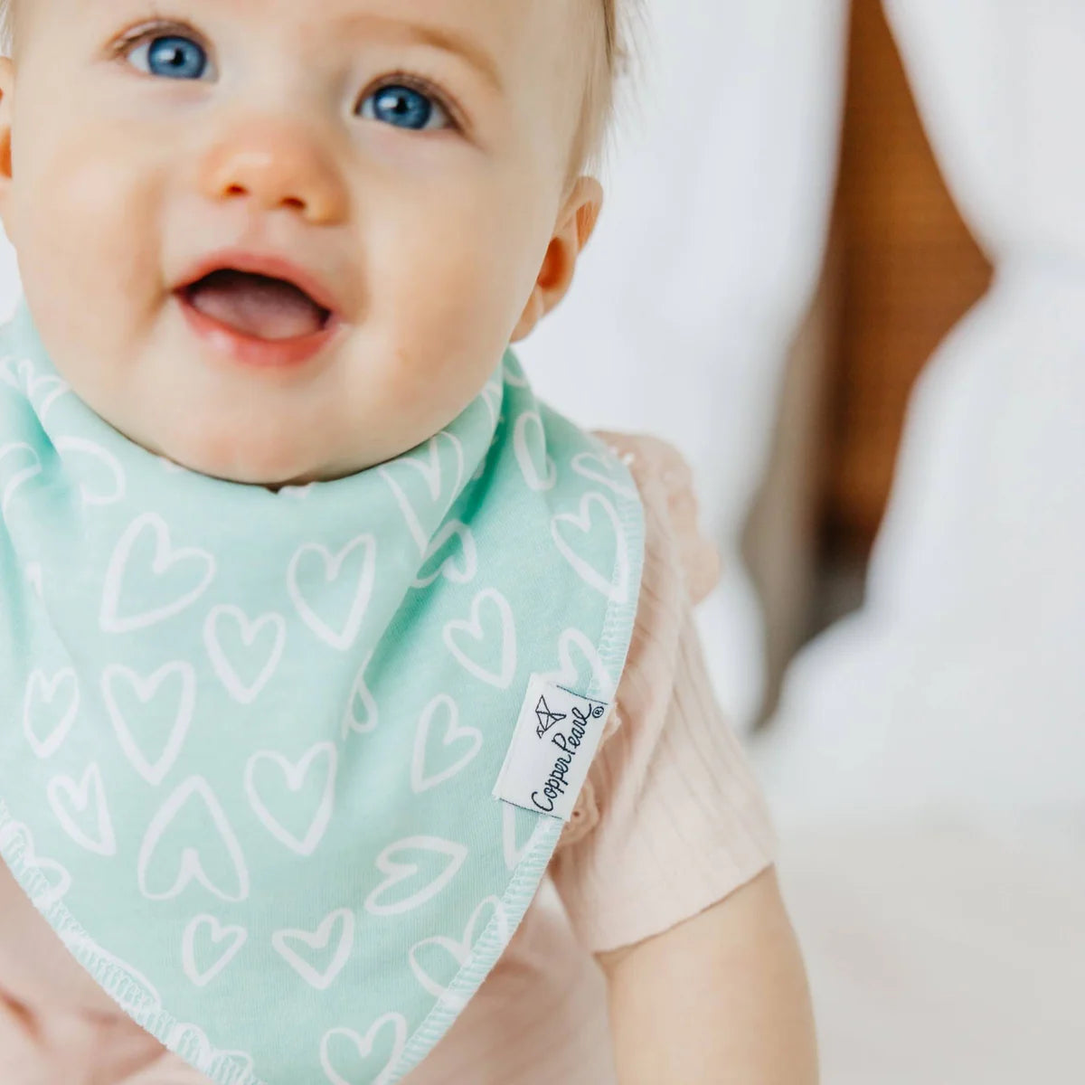 Baby Bandana Bib