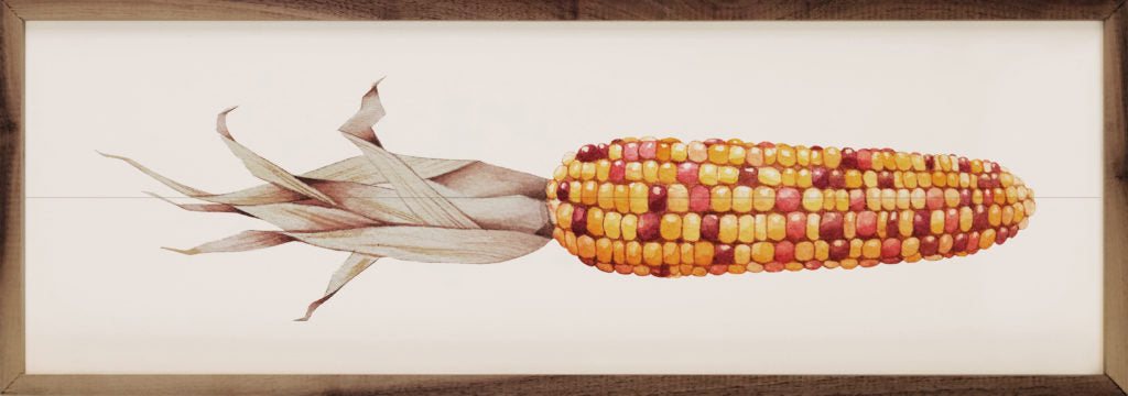 Indian Corn Fall Artwork
